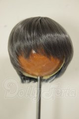 6-7inch/ウィッグ　インソムニア様製 A-26-06-02-238-NY-ZA