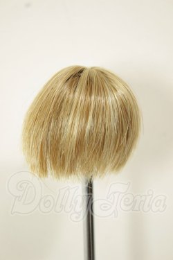 画像2: 4inch/ウィッグ　DOLLCE A-26-06-02-225-NY-ZA