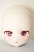 DD/DDH-29カスタムヘッド A-26-06-02-208-NY-ZA