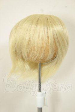 画像1: 8-9inch/ウィッグ A-26-06-02-355-NY-ZA