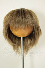 6-7inch/ウィッグ A-26-06-02-352-NY-ZA