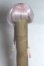 画像1: 4inch/ウィッグ A-26-06-15-096-NY-ZA (1)