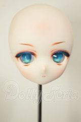 DD/DDH-01 カスタムヘッド A-26-06-08-243-NY-ZA