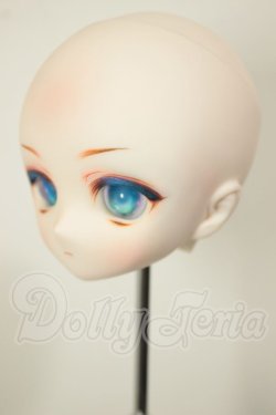 画像3: DD/DDH-01 カスタムヘッド A-26-06-08-243-NY-ZA