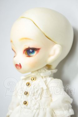 画像3: オビツ11ボディ/ディーラー様製ヘッド A-26-06-08-271-NY-ZA