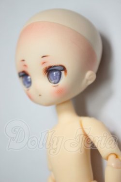 画像3: ピコニーモPボディ/parabox　ヒカリ　カスタムヘッド A-26-06-08-273-NY-ZA