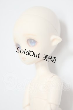 画像3: オビツ11ボディ/parabox　プチフェアリー　カスタムヘッド A-26-06-08-272-NY-ZA