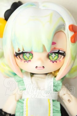 画像1: KUKAKA(クカカ)/虫虫カフェ：テイテイ(トンボ) A-26-06-08-105-NY-ZA