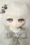 画像1: TinyFox/フラリー　Flurry A-26-06-08-173-NY-ZA (1)