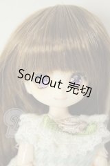 オビツ11ボディ/DOLLCE：DC11-04カスタムヘッド A-26-06-08-225-NY-ZA