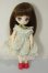 画像7: オビツ11ボディ/DOLLCE：DC11-04カスタムヘッド A-26-06-08-225-NY-ZA (7)