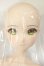画像2: DD/月村手毬 A-26-06-08-153-NY-ZA (2)