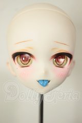 DD/DDH-10カスタムヘッド A-26-06-08-210-NY-ZA