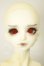 画像1: SPIRIT DOLL /Pyrus A-26-06-08-251-NY-ZA (1)