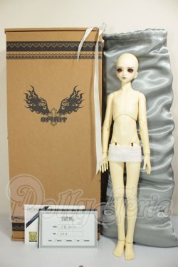 画像8: SPIRIT DOLL /Pyrus A-26-06-08-251-NY-ZA
