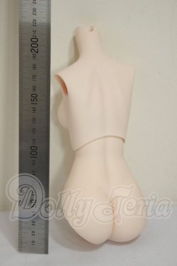 画像2: DD2.0/上半身・下半身　外皮パーツ A-26-06-15-122-NY-ZA
