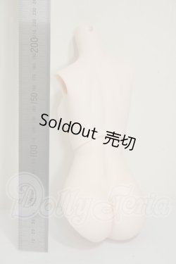 画像2: DD2.0/上半身・下半身　外皮パーツ A-26-06-15-122-NY-ZA