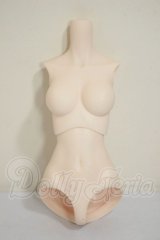 DD2.0/上半身・下半身　外皮パーツ A-26-06-15-123-NY-ZA