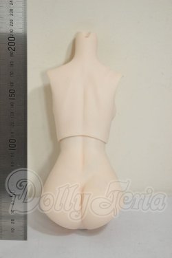 画像2: DD2.0/上半身・下半身　外皮パーツ A-26-06-15-123-NY-ZA