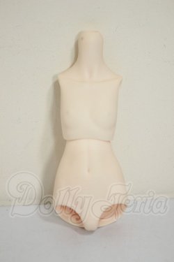 画像1: MDD/上半身・下半身　外皮パーツ A-26-06-15-124-NY-ZA
