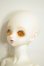 画像3: Peak’s Woods/FOB Little Yeru A-26-06-15-105-NY-ZA (3)