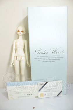 画像6: Peak’s Woods/FOB Little Yeru A-26-06-15-105-NY-ZA
