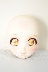 DDH-06/カスタムヘッド A-26-06-15-256-NY-ZA