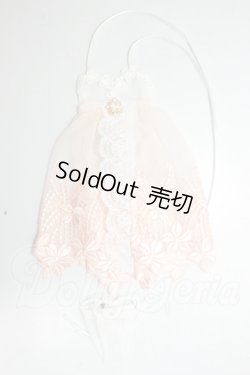 画像1: DD/下着　RoseLapin様製 A-26-06-15-269-NY-ZA