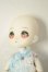 画像2: DOLLCE/ミニスウィーツドール スノーシナモン A-26-06-15-242-NY-ZA (2)