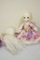 画像5: DOLLCE/ミニスウィーツドール スノーシナモン A-26-06-15-240-NY-ZA (5)