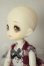 画像4: DOLLCE/ミニスウィーツドール スノーシナモン A-26-06-15-216-NY-ZA (4)