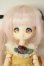 画像1: DOLLCE/ミニスウィーツドール/シナモン　表情違い A-26-06-15-230-NY-ZA (1)