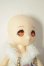 画像3: DOLLCE/ミニスウィーツドール:シナモン A-26-06-15-228-NY-ZA (3)