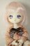 画像1: DOLLCE/ミニスウィーツドール：スノーミント A-26-06-15-211-NY-ZA (1)