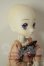 画像3: DOLLCE/ミニスウィーツドール：スノーミント A-26-06-15-211-NY-ZA (3)