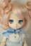 画像1: DOLLCE/ミニスウィーツドール：シロネ A-26-06-15-202-NY-ZA (1)