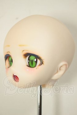 画像3: DD/DDH-01:カスタムヘッド A-26-06-15-289-NY-ZA