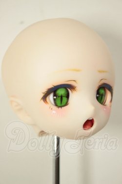 画像4: DD/DDH-01:カスタムヘッド A-26-06-15-289-NY-ZA