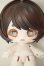 画像1: Ya!xiugo/ヤ！シュウゴ！はちみつクマ A-26-06-15-180-NY-ZA (1)