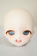DD/DDH-10/カスタムヘッド A-26-06-15-302-NY-ZA