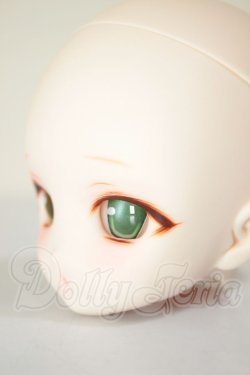 画像3: DD/DDH-27　カスタムヘッド A-26-06-15-310-NY-ZA