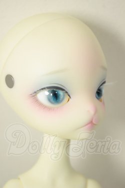 画像3: 【DOLK×DOLL ZONE】Miss kitty - Nightingale ver. Limited ＜Special Reissue 2025＞ A-26-06-15-311-NY-ZA