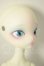 画像3: 【DOLK×DOLL ZONE】Miss kitty - Nightingale ver. Limited ＜Special Reissue 2025＞ A-26-06-15-311-NY-ZA (3)