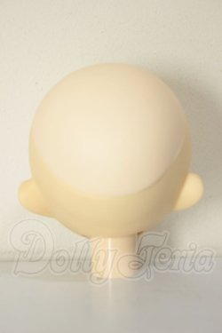 画像4: パラボックス/姉姫ヘッド A-26-06-22-119-NY-ZA