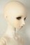 画像2: ビジュアドールVisuadoll/小花萌黄・ベーシックver (モエギ) A-26-06-15-400-NY-ZA (2)