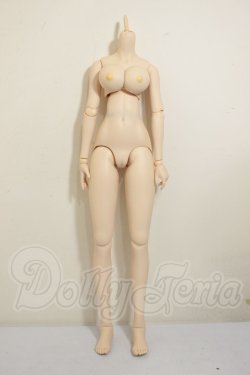 画像1: DDdy/ベースボディ A-26-06-29-156-NY-ZA