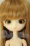 画像1: Harmonia Bloom/スズラン A-26-06-22-296-NY-ZA (1)