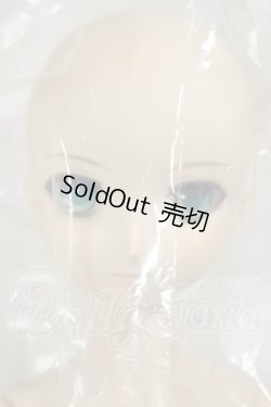 画像2: DDS/セイバー/アルトリア・ペンドラゴン A-26-06-22-311-NY-ZA