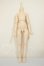 画像1: MDD/ベースボディ(DD-f3) A-26-06-29-105-NY-ZA (1)