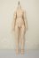 画像1: MDD/ベースボディIII A-26-06-29-106-NY-ZA (1)